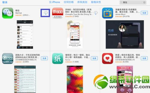 ipad mini2怎么下载微信？ipad mini2下载安装微信教程4