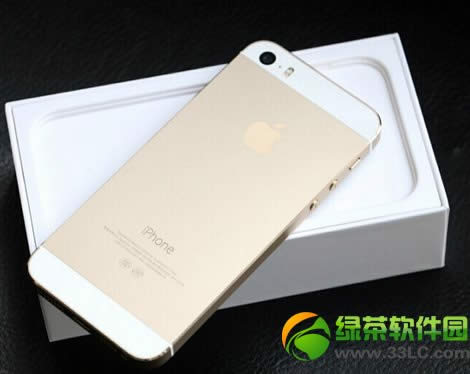 iPhone5S_ҕlp