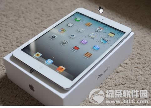 OiPad mini_uy2