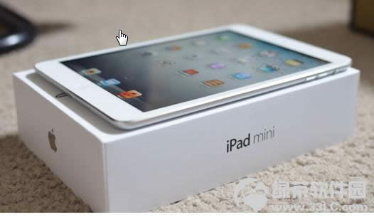 OiPad mini_uy3