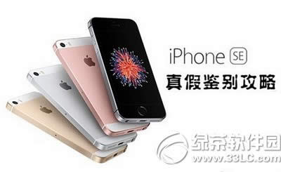 iphone seRe Oiphone sebe