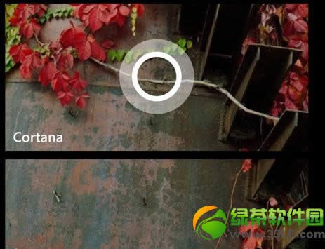 cortana򿪣wp8.1 cortana򿪰취