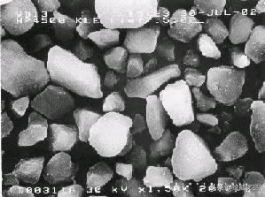 ̼ɶ|ͬƷƵ̼ۿͨÆ
