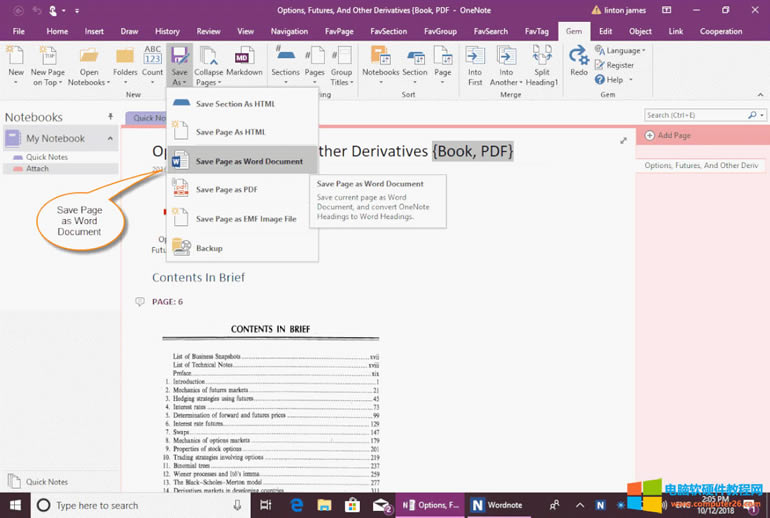 OneNote: Gem for OneNote ıҳΪ Word ĵ 