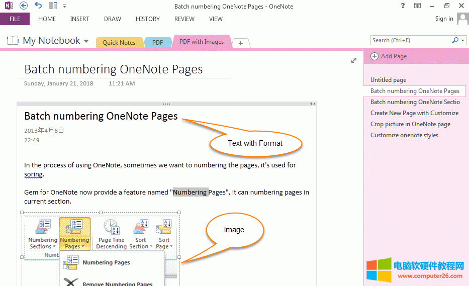 PDF  OneNote ԸʽıͼƬʾ