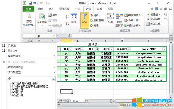 ExcelɸѡExcel 2010еɸѡʹ÷2