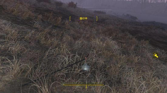 ǿ