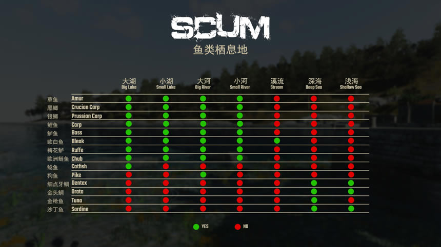 SCUM 0.7ȫֲλ ʱ估_վ