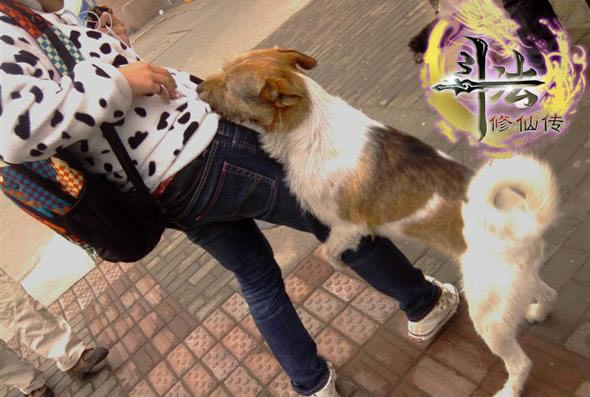Ҫȶɴ̽Ѱ޵д䷨_վ