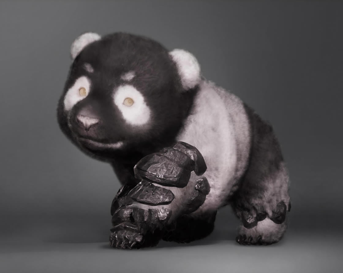      ̫ɰ˰