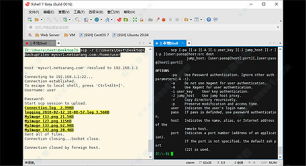 xshell7¹_xshell7¹ܽ