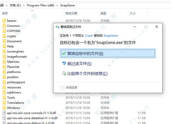 SnapGeneװ̳_SnapGeneװ_SnapGeneƽ̳