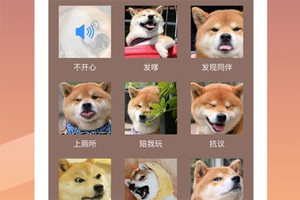 ˹_˹_˹ܲ
