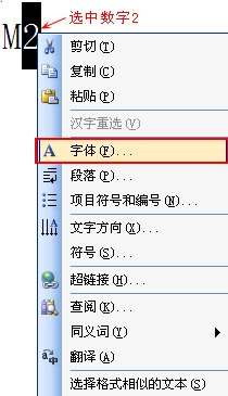 ѡ