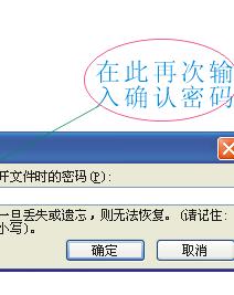 输入密码
