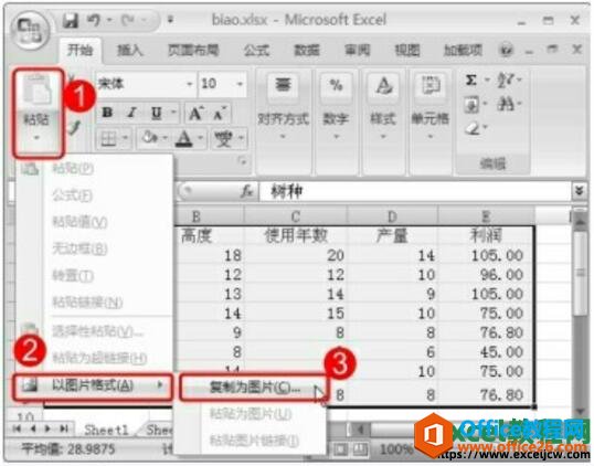 excel2007תΪͼƬ