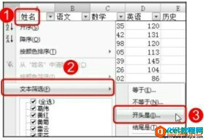 excel2007ɸѡĲ