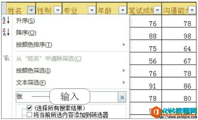 excel2010ؼɸѡ