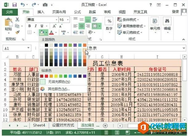 excel2013ΪԪӱɫͱͼƬ