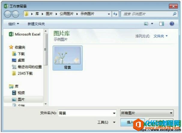 excel2013ΪԪӱɫ뱳ͼƬ