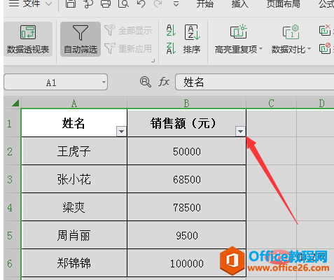 excelԶɸѡ