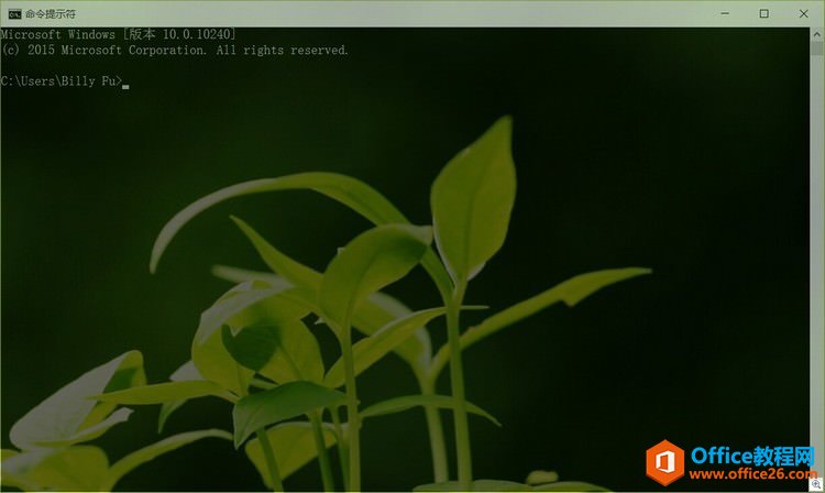 Windows 10ʾҲ͸