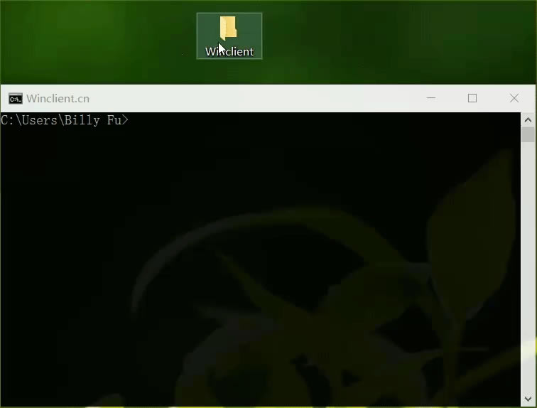 Windowsʾʹü