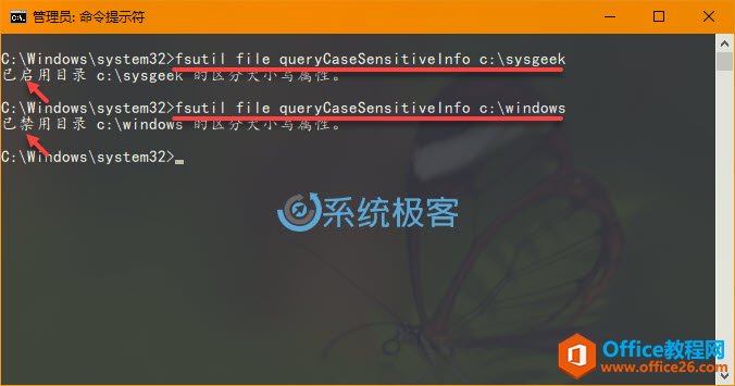ȷWindows 10ļļִСд