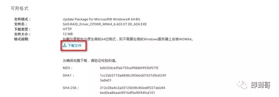 DELL R230 пװServer 2012R2ϵͳ