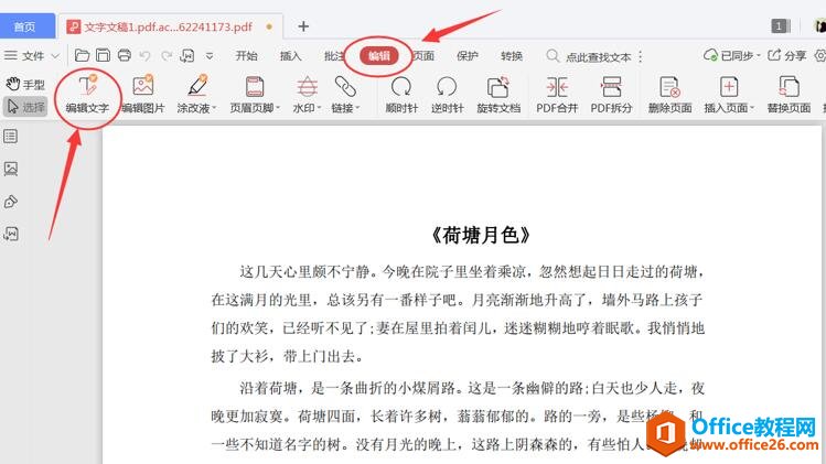 PDF 