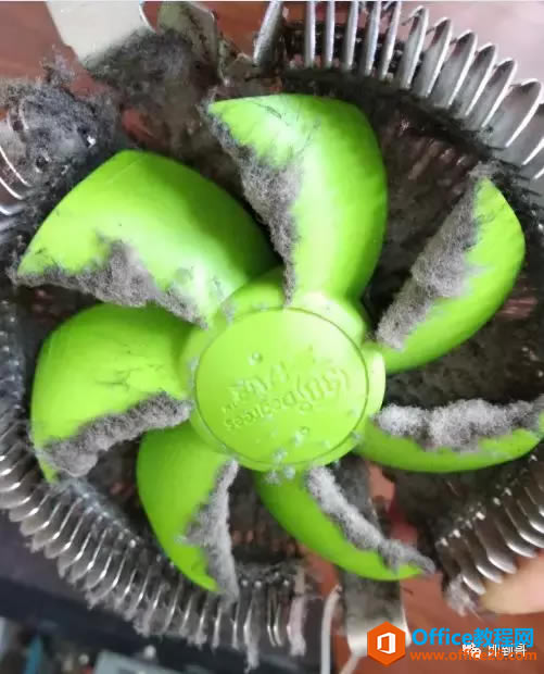 쵽ˣԿ˻ô죿