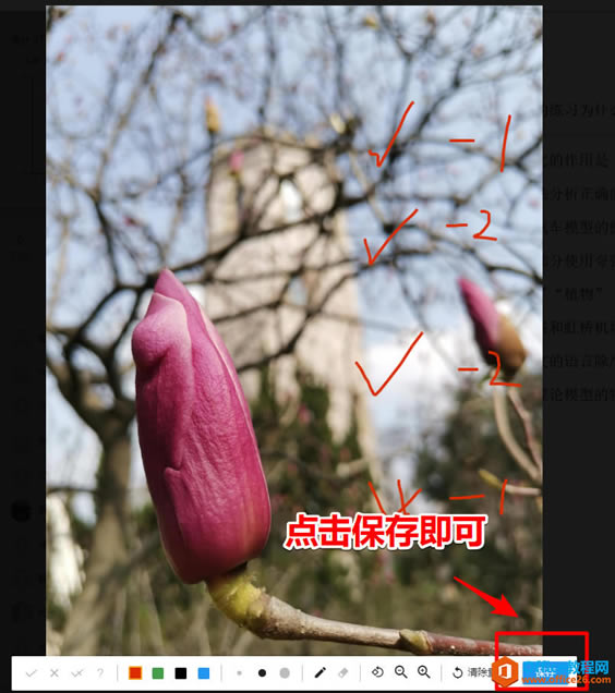 ѧϰԣϲĿ