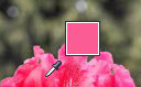 powerpointȡɫʹ  powerpointȡɫʹü
