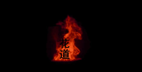 PPTԼGIF