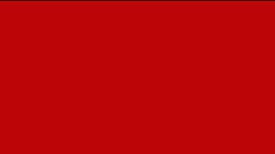 PPTѩ׷