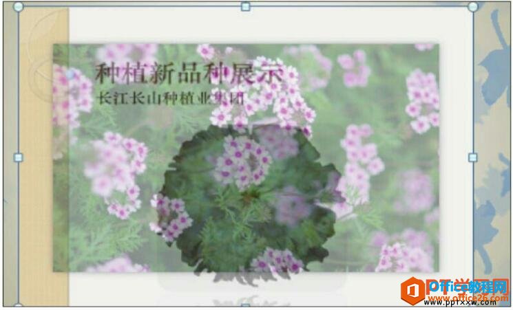 뵭ƵЧ
