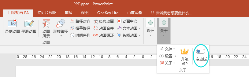 PPT칫ɣPA