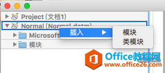 Office2019 for Mac WordĬʾô? ޸Ĭʾ