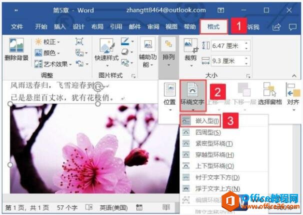 word2019ͼƬʽֵĹ