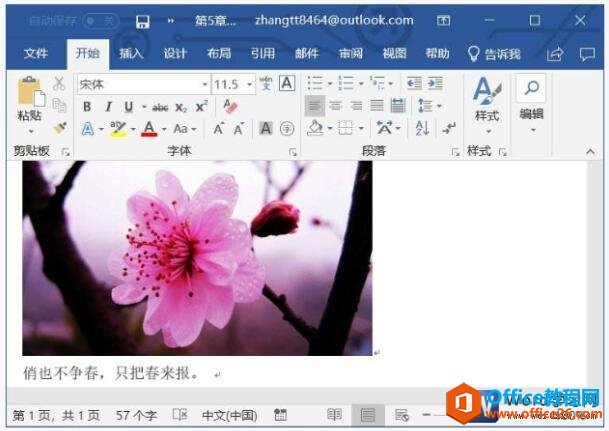 word2019ͼƬʽֵļ