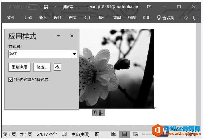 word2019ͼƬӹעʽ