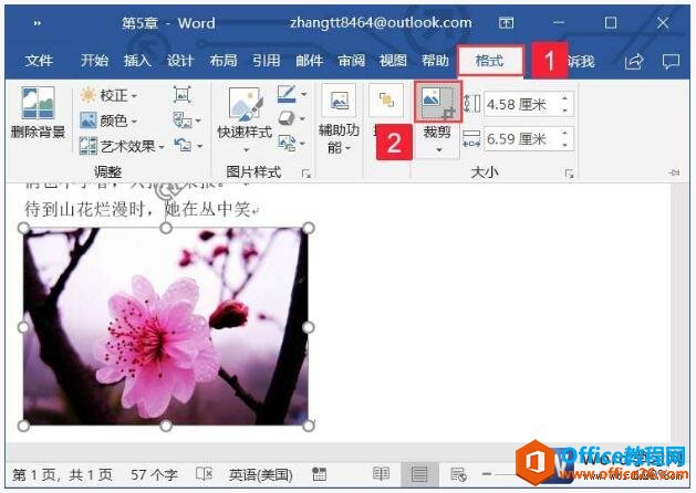 word2019ĵвüͼƬĲ