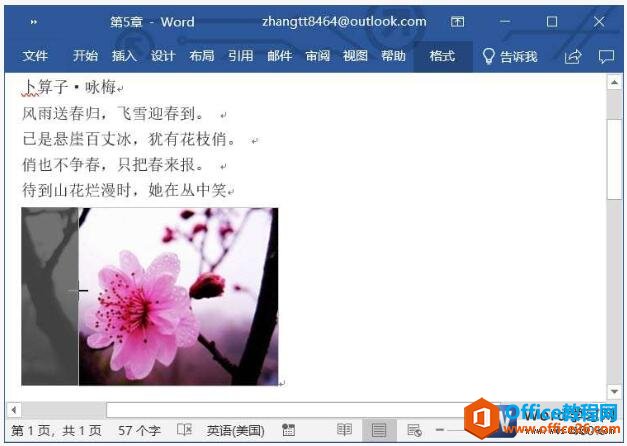 word2019ĵвüͼƬð취ͼͼĽ̳