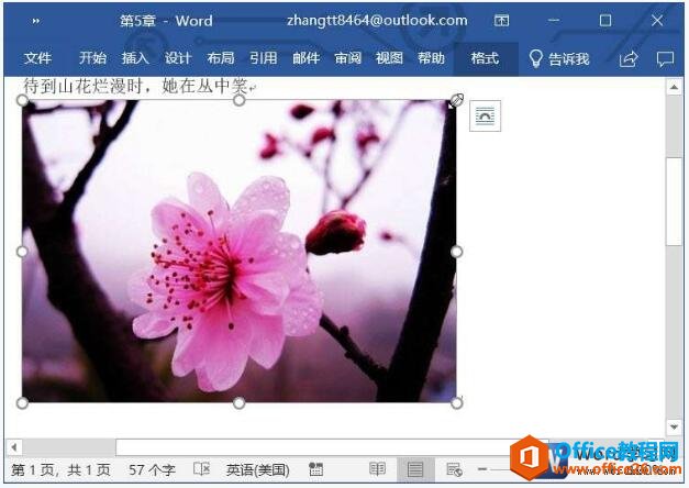 word2019תͼƬ͵ͼƬСķ