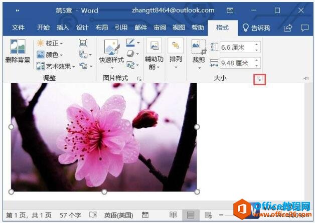 word2019еͼƬСķ