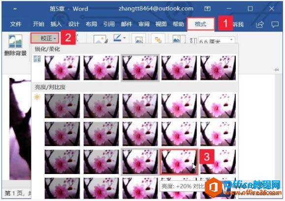 word2019ͼƬȺʽĲ