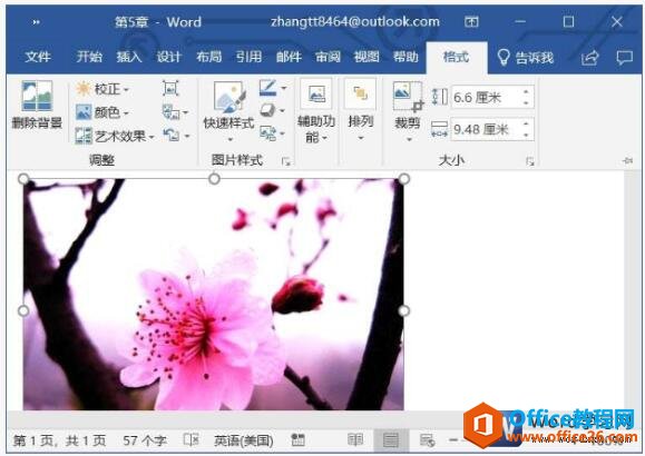 wordͼƬȺͶԱȶ