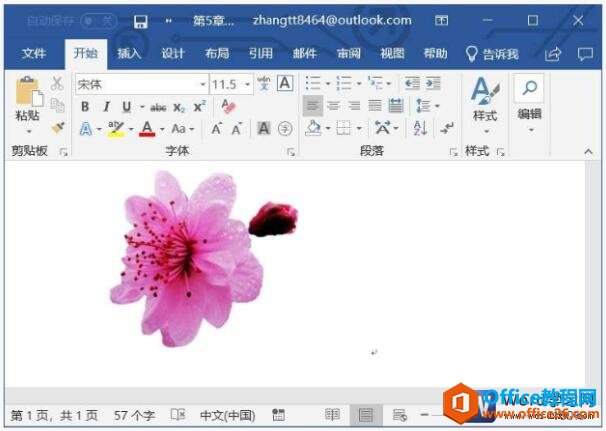 word2019ɾͼƬ