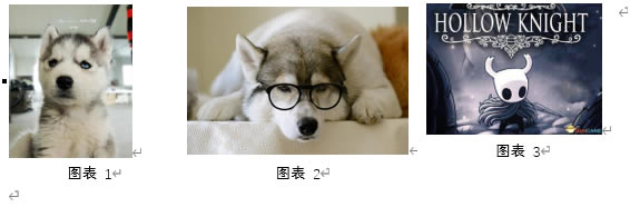 Word һжͼƬע