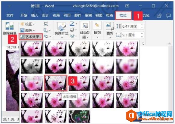 wordͼƬЧ